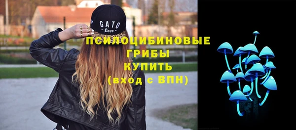 мдпв Лиски