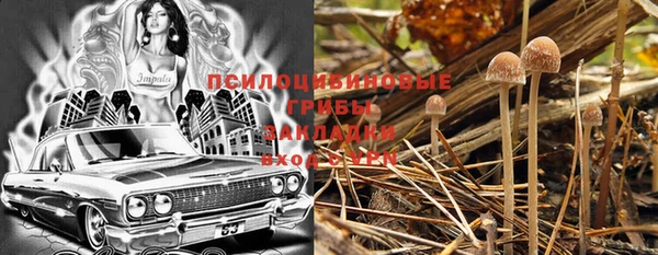 стафф Медвежьегорск