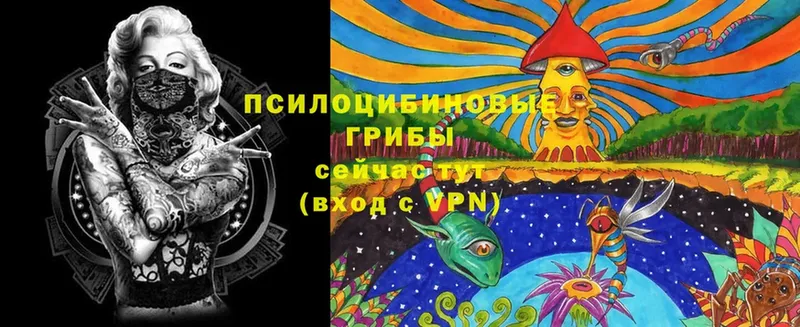 Псилоцибиновые грибы Psilocybe  мега ONION  Кизилюрт 