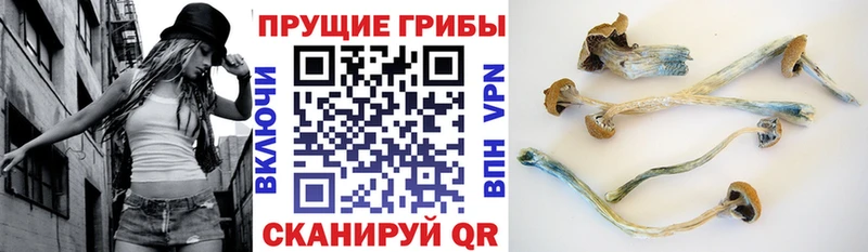 Галлюциногенные грибы Magic Shrooms  Кизилюрт 
