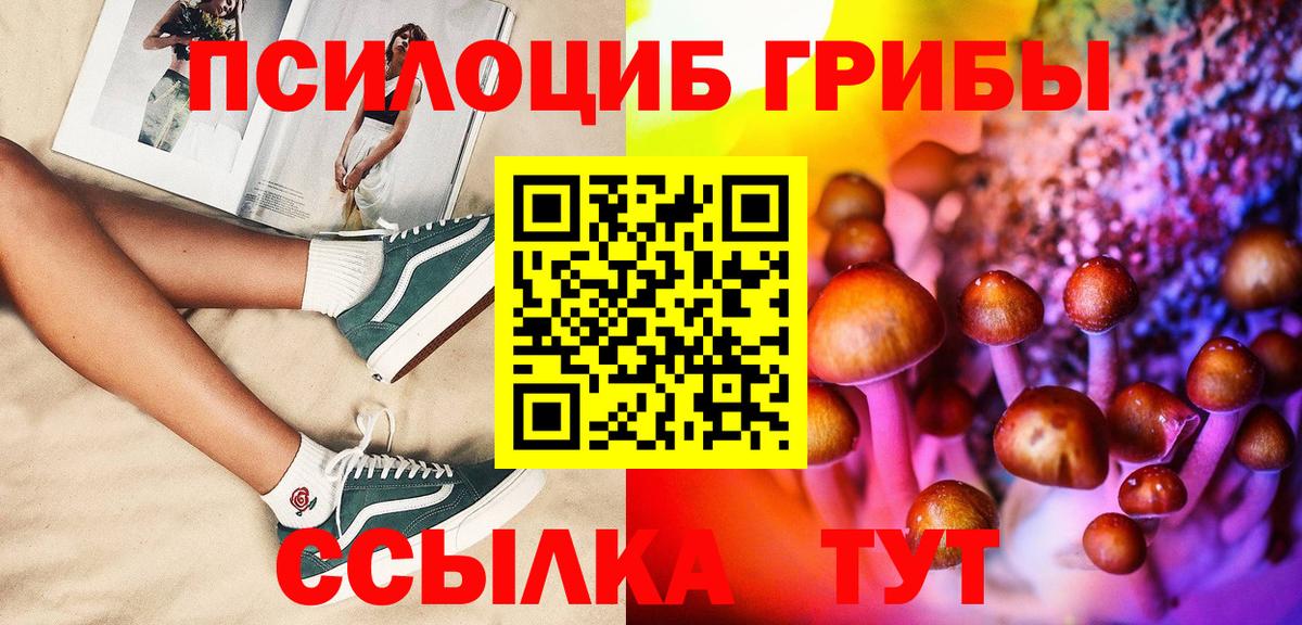 Галлюциногенные грибы Cubensis  где купить   Кизилюрт 